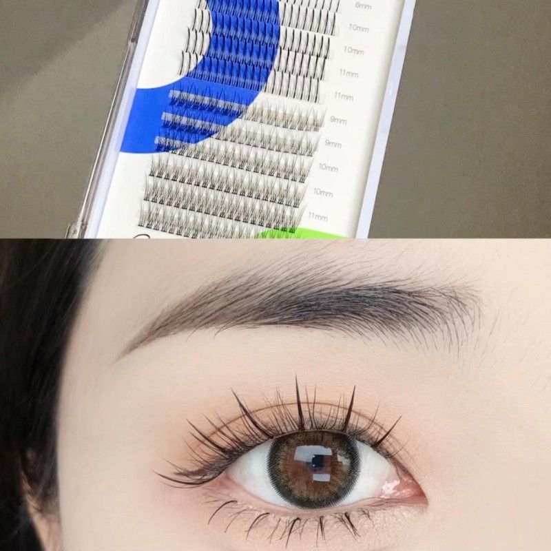 Plantpro 3 In 1 Mixed False Eyelash 240 clusters