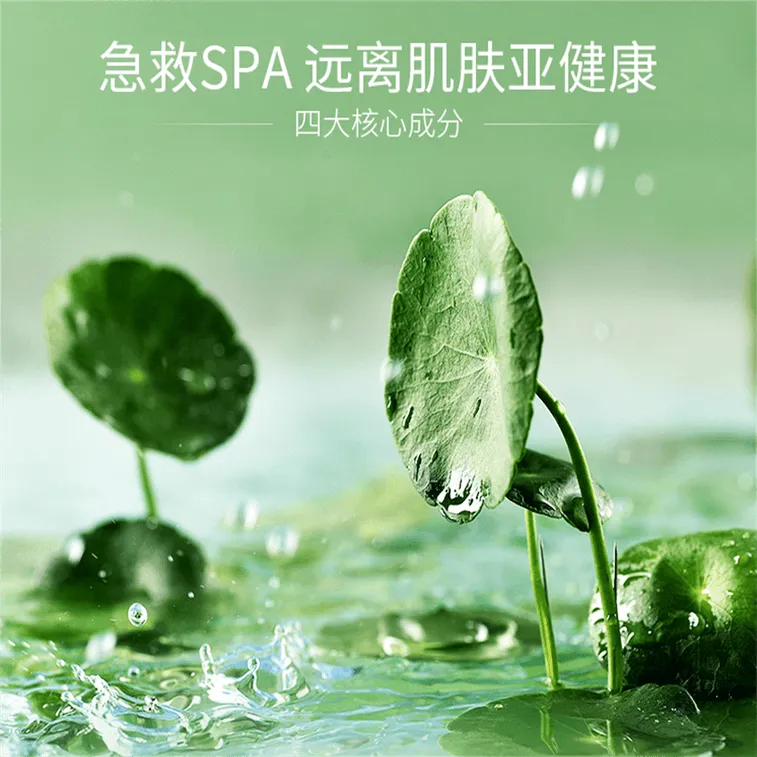 Face Live Centella Asiatica Plant Repair Patch 1pcs