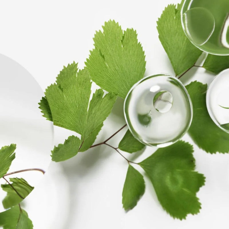 Sisley Ecological Compound Day & Night Face Cream 125ml