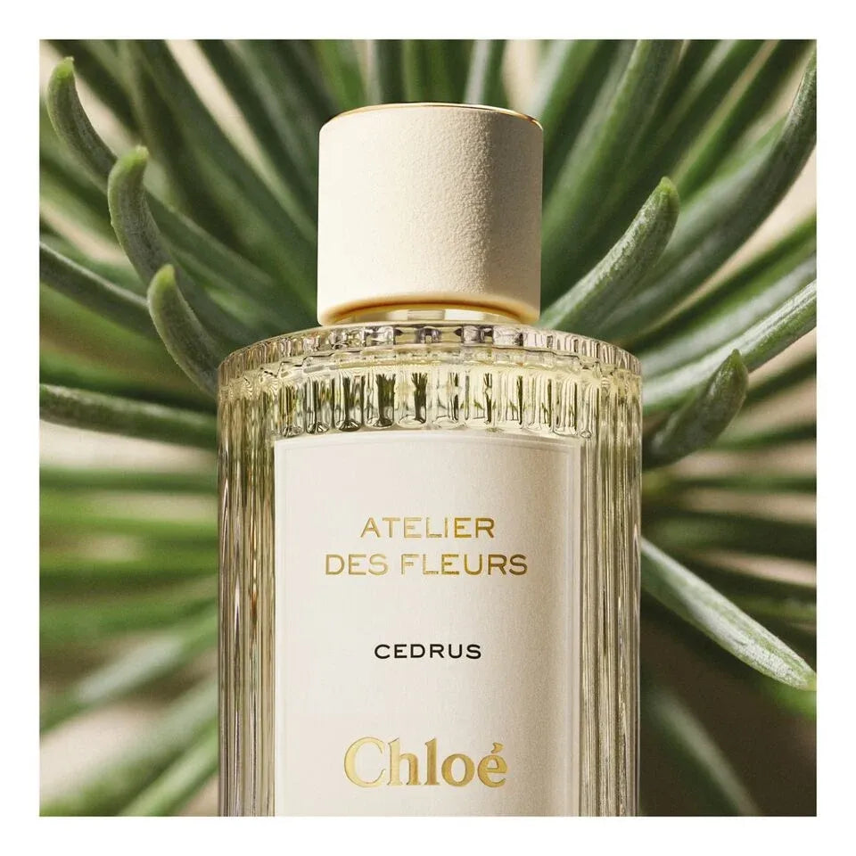 Chloe Atelier Des Fleurs Cedrus Eau De Parfum Spray 50ml