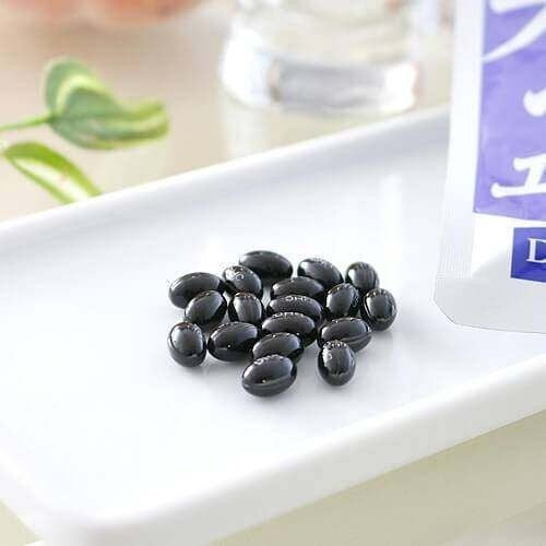 DHC Health Food Blueberry Extract Tablets 120pcs
