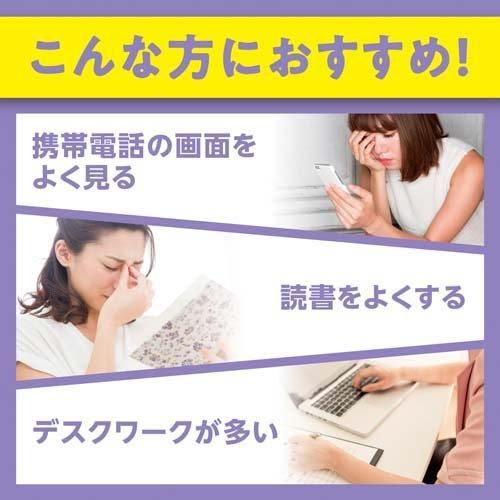 DHC Health Food Blueberry Extract Tablets 120pcs