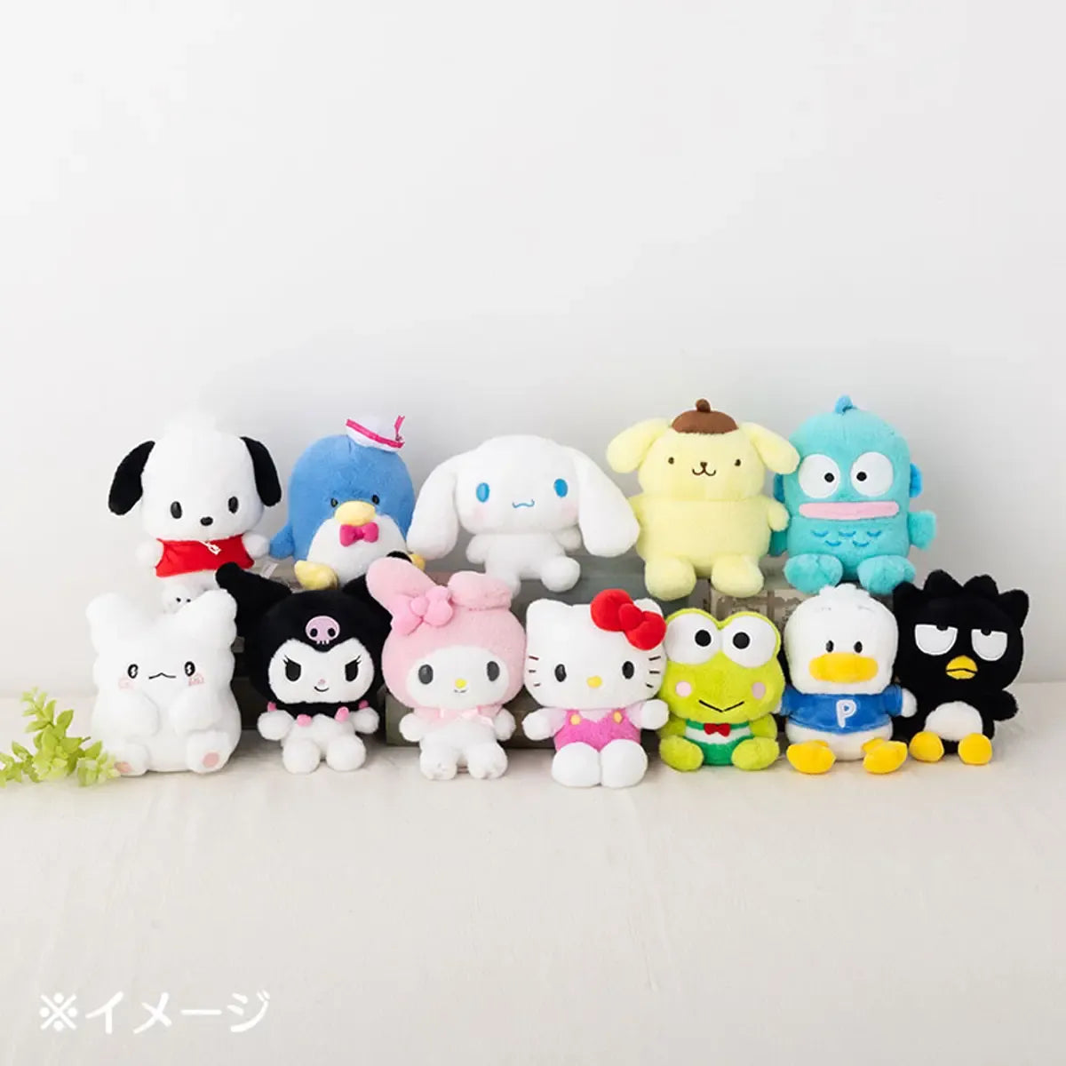 Sanrio Standard Stuffed Toy M Pochacco