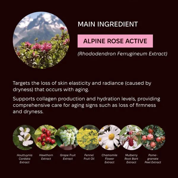 Axxzia AG Theory Balancing Oil Essence 30ml