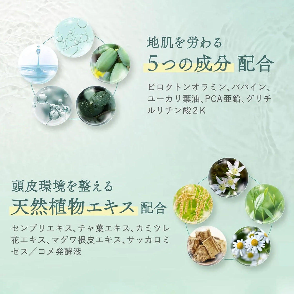 Off & Relax SPA Purifying Scalp Cleanser Pre-Shampoo 150ml