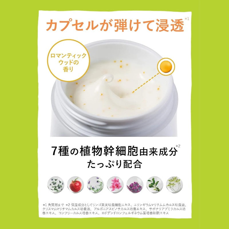 Lits Stem 7 Cream 50g