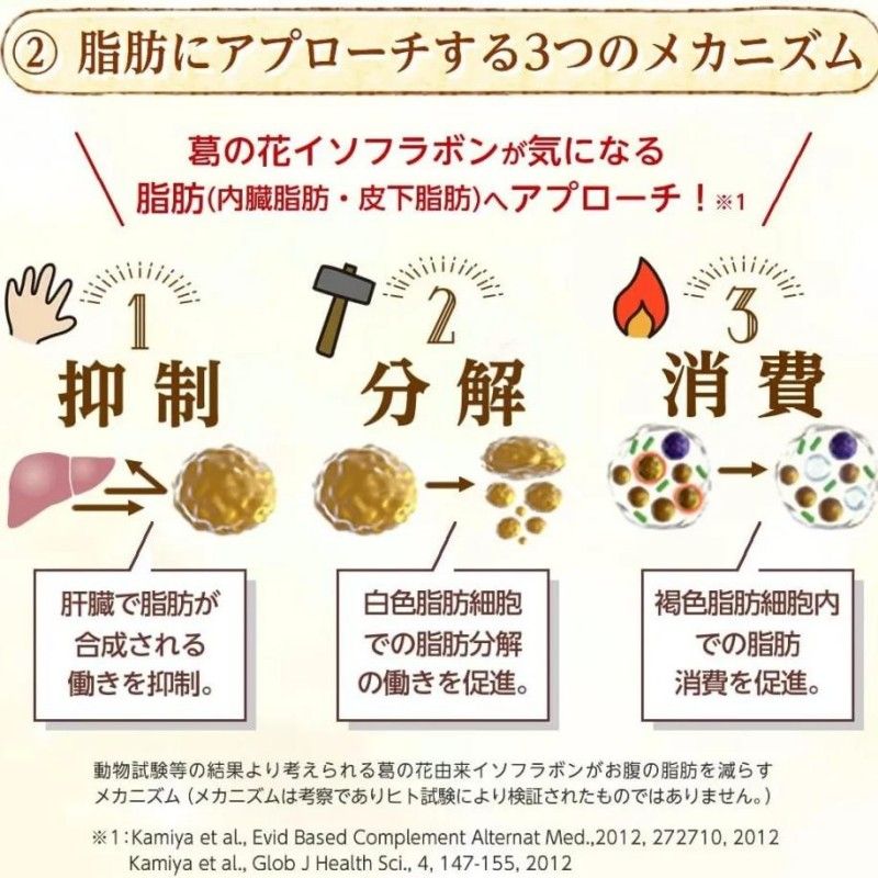 Shinya Koso新谷酵素植物酵素葛花肠清通控糖减脂 90粒/30日