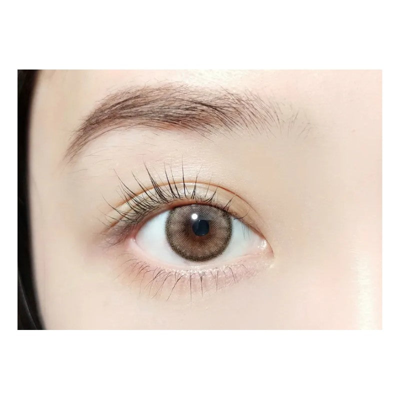 Barrieyes 1-Day Colored Contact Lens Dawn Brown -3.00 6pcs