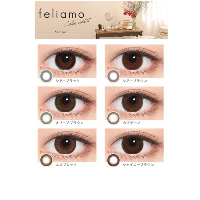 Feliamo 1-Day Color Contacts Lens Sheer Brown ±0.00 10pcs