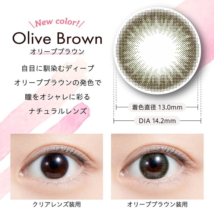 Feliamo 1 Day Color Contact Lens Olive Brown -4.50 10pcs