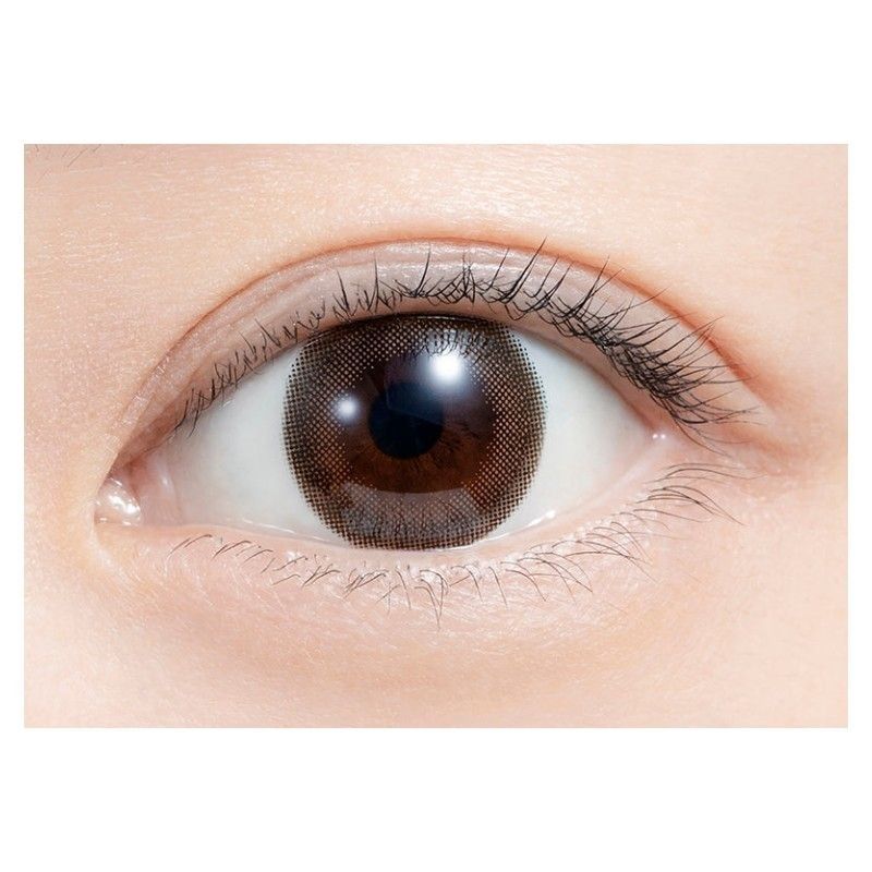 Feliamo 1-Day Contact Lenses Cappuccino ±0.00 10pcs