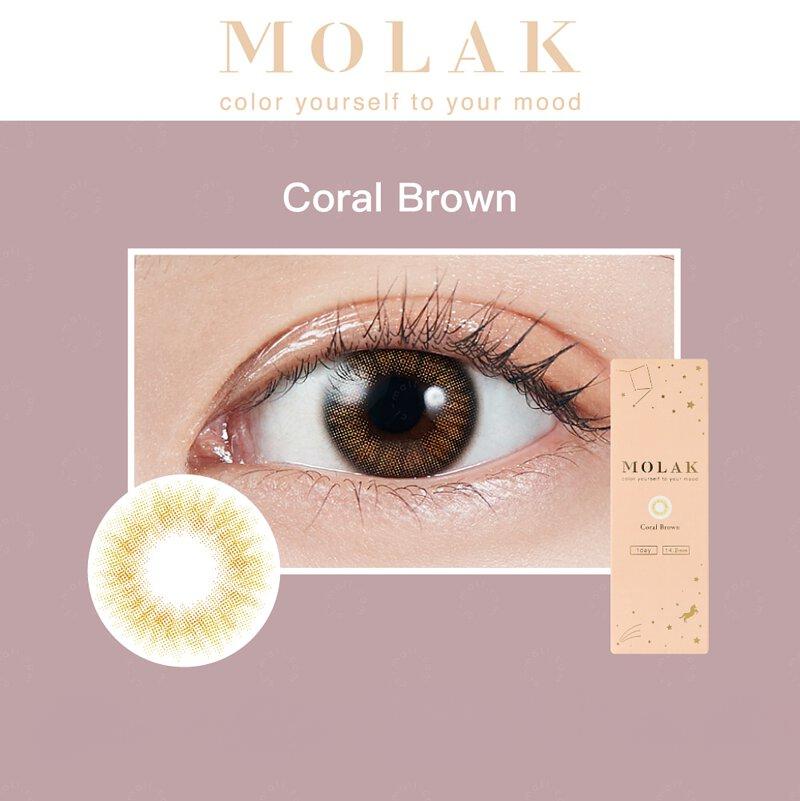 Molak 1-Day Colored Contact Lens Coral Brown -6.00 10pcs