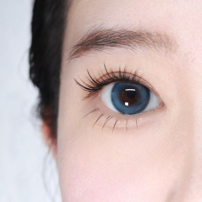 Barrieyes Aurora 1 Day Colored Contact Lens Gloria Blue -6.50 6pcs