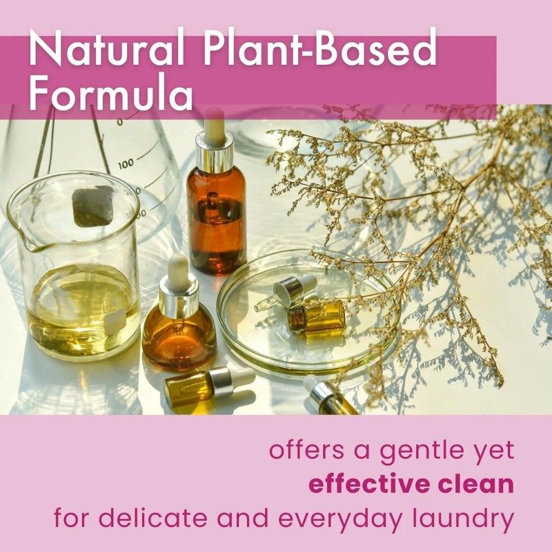 Lavons Charebon Fashionable Laundry Detergent French Macaron 500ml