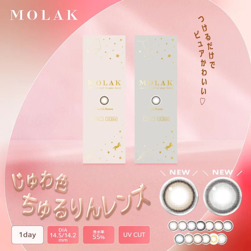 Molak 1 Day Colored Contact Lens Brown Bunny ±000 10pcs