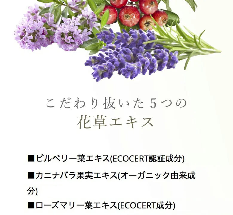 Maputi Organic Fragrance Bust Cream 60g