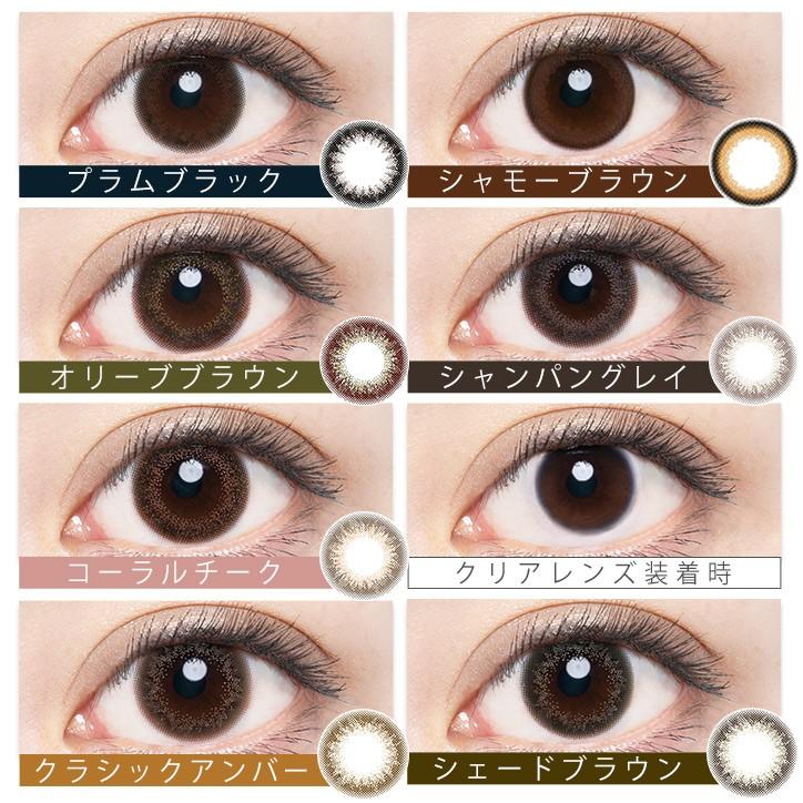 Envie 1 Day Color Contact Lens Plum Black -2.50 30pcs