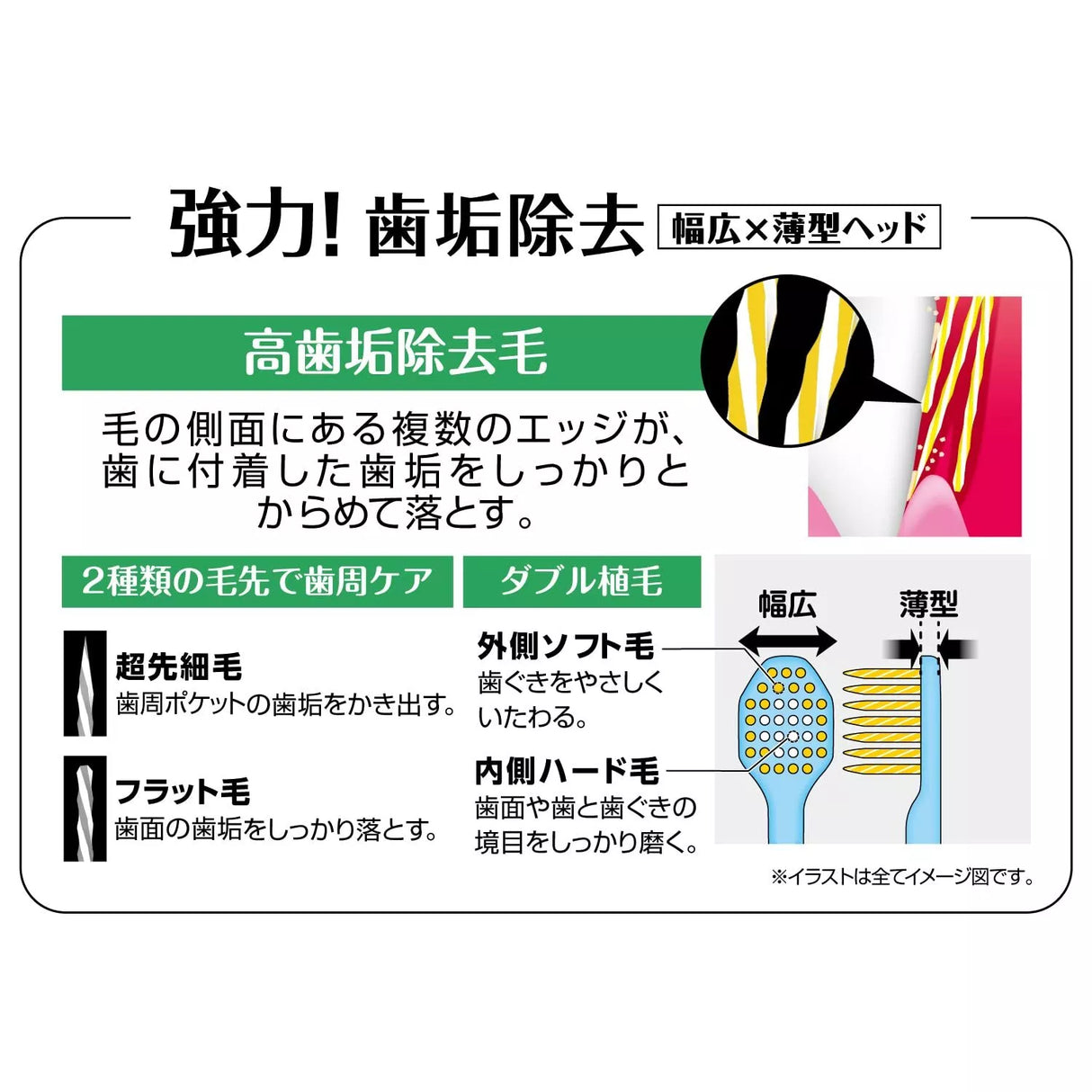 Ebisu Premium Care Toothbrush B-3606M
