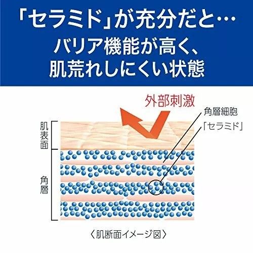 Kao Curel Moisture Lip Care Stick 4.2g