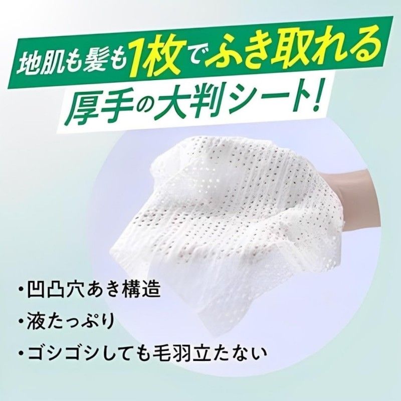 KAO Merit Day Plus Dry Shampoo Sheets White Green 12pcs