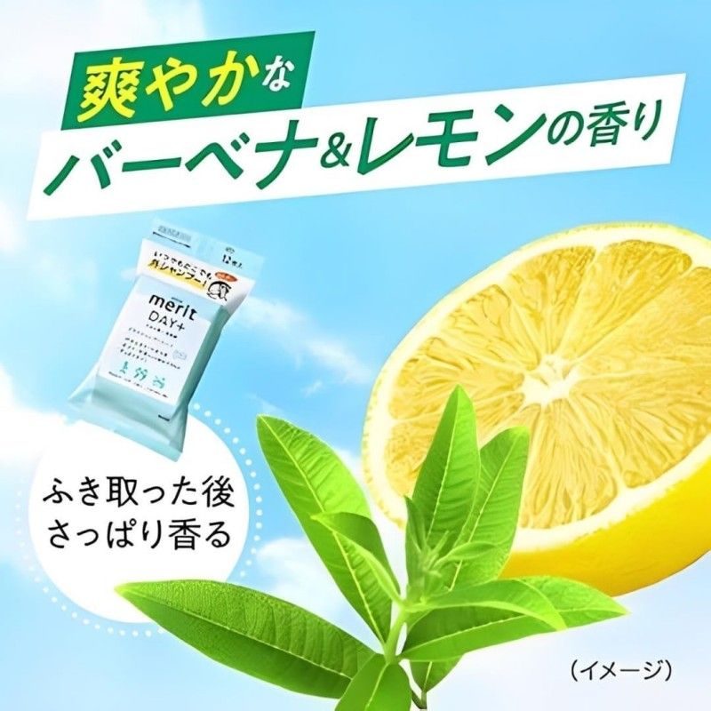 KAO Merit Day Plus Dry Shampoo Sheets White Green 12pcs