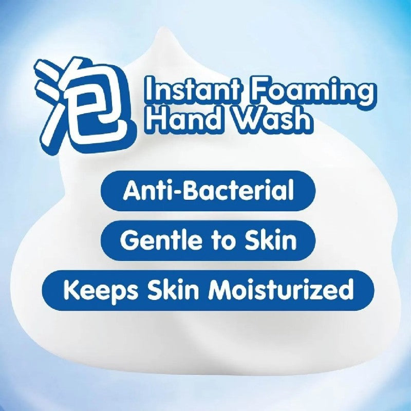 Kao Biore U Foaming Hand Soap Fruit Scent 240ml