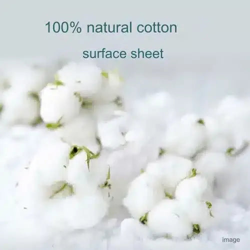 Kao Laurier Slim Guard Natural Cotton 100% With Wings 20.5cm 24pcs