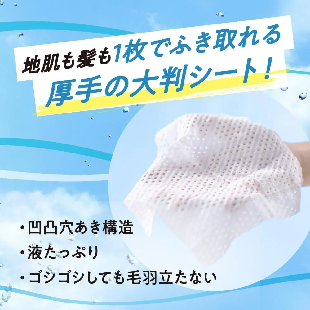 Kao Merit Dry Shampoo Sheet Smooth Hair Tightening Type 12pcs