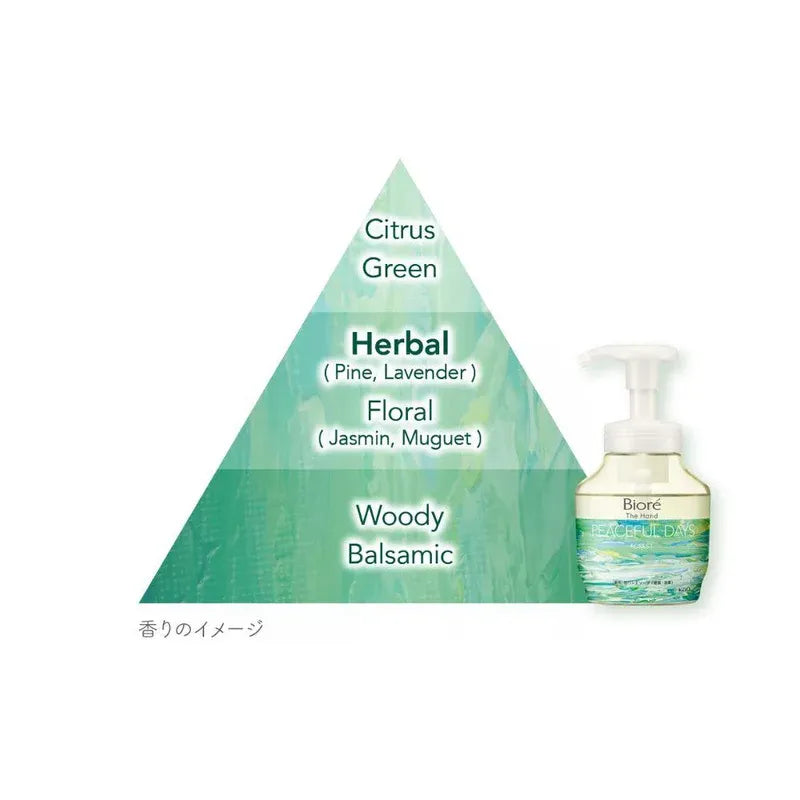 Kao Biore Antibacterial Foaming Hand Soap Forest Scent 280ml
