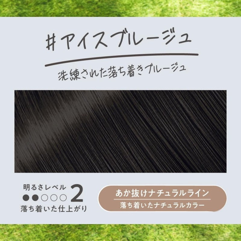 Kao Liese Bubble Hair Color Ice Bruges 115ml