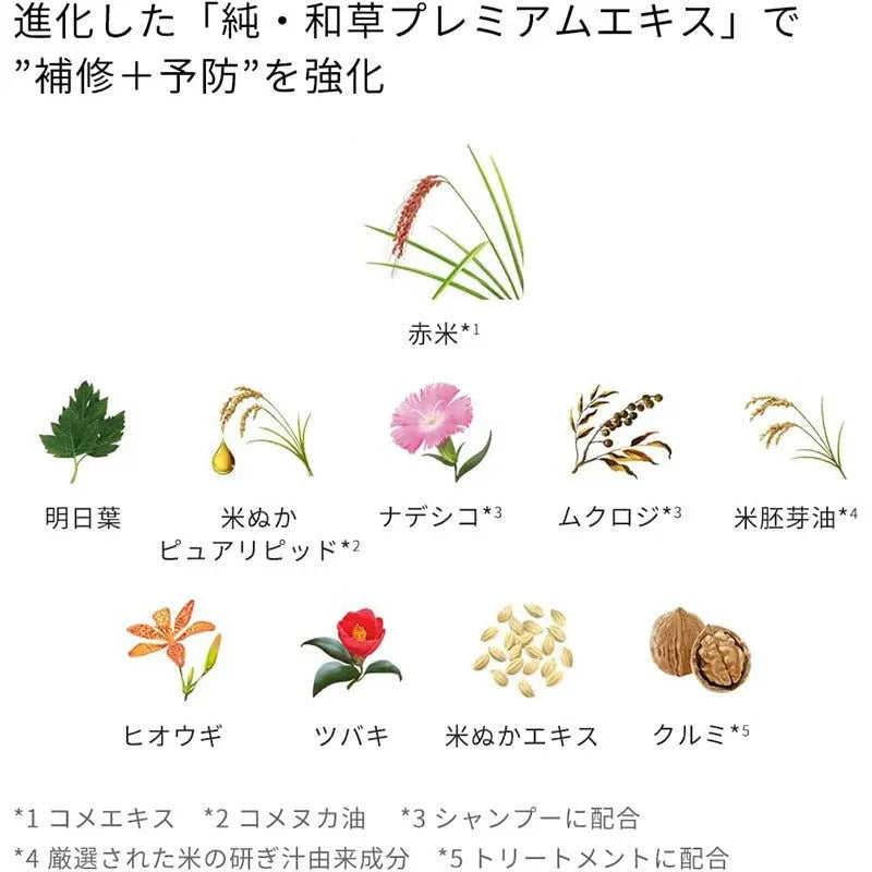 Kracie Ichikami Nameraka Smoothing Shampoo & Conditioner 480ml*2