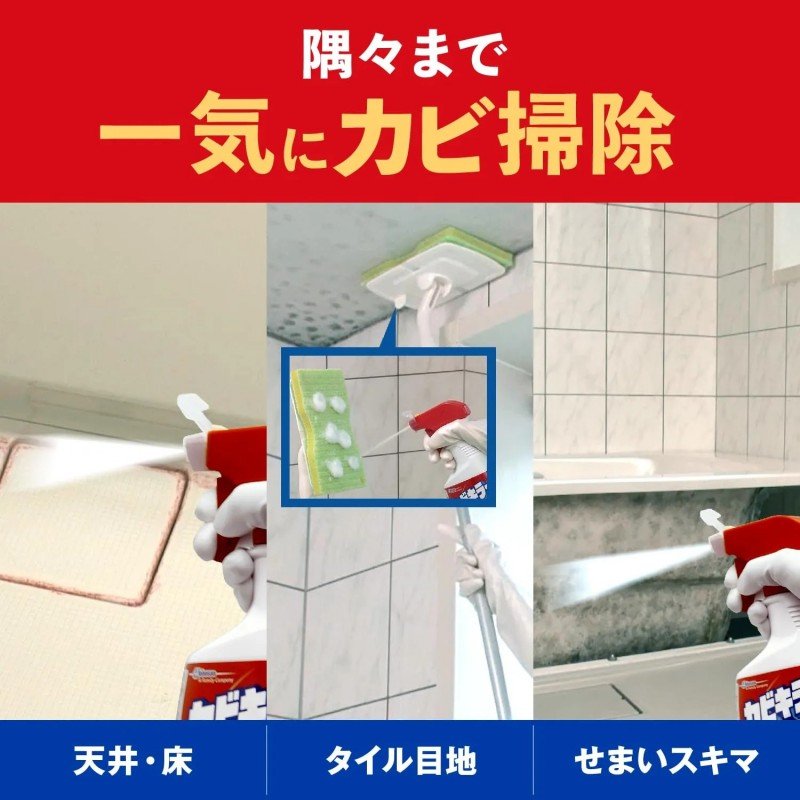 Johnson Mould Removing Spray 400g