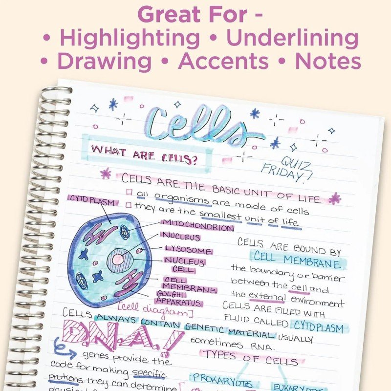 Zebra Mildliner Double Tip Highlighter Mild Citrus Green 1pcs