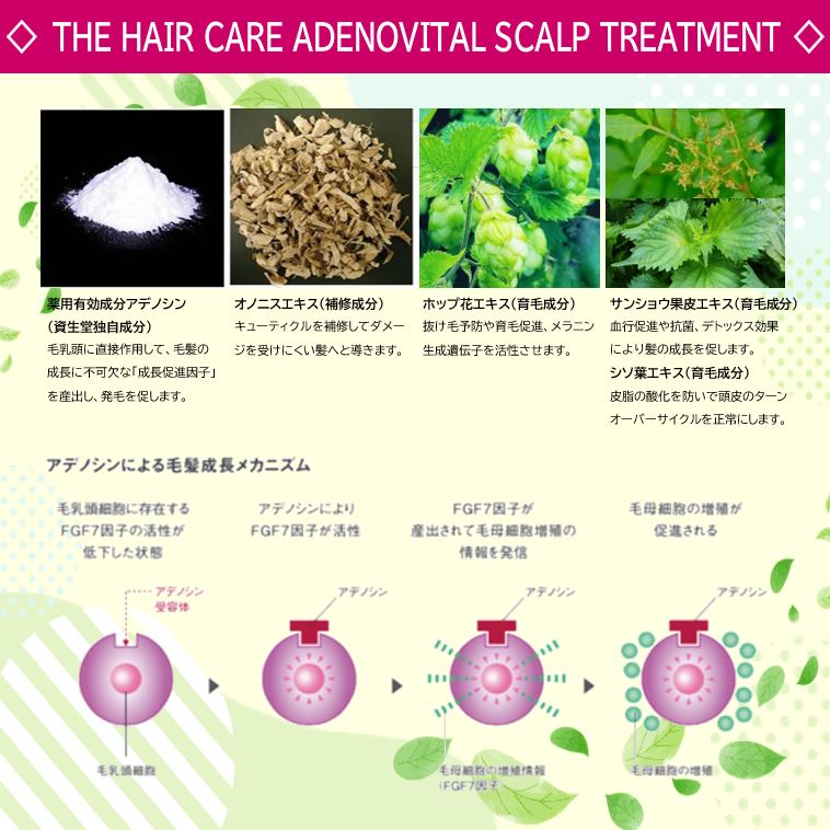 Shiseido Professional The Hair Care Adenovital Scalp Treatment 1000ml