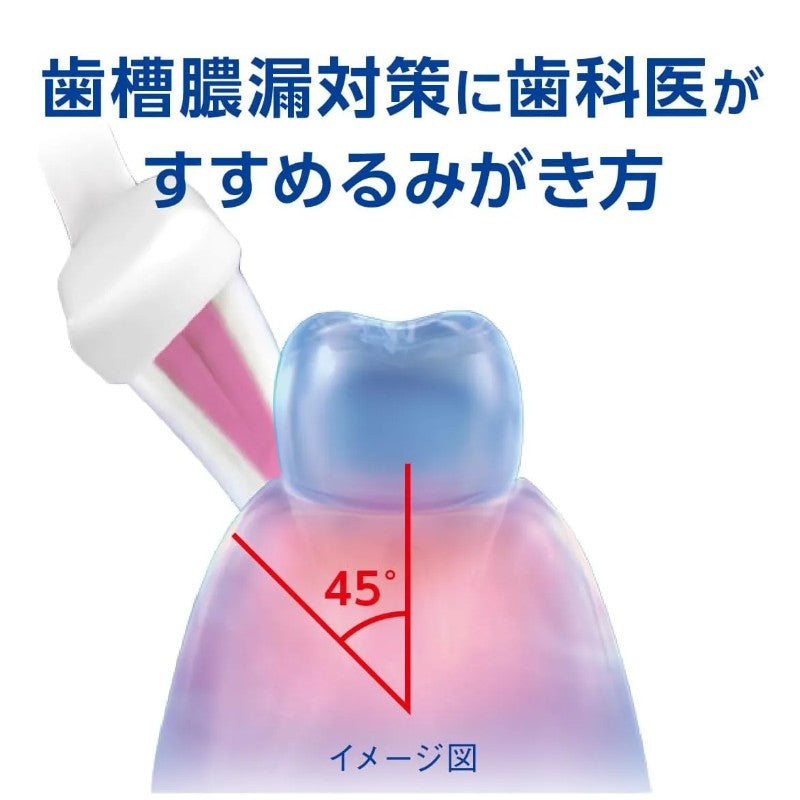 Lion Dent Health Toothbrush Soft Type Random Color 1pcs