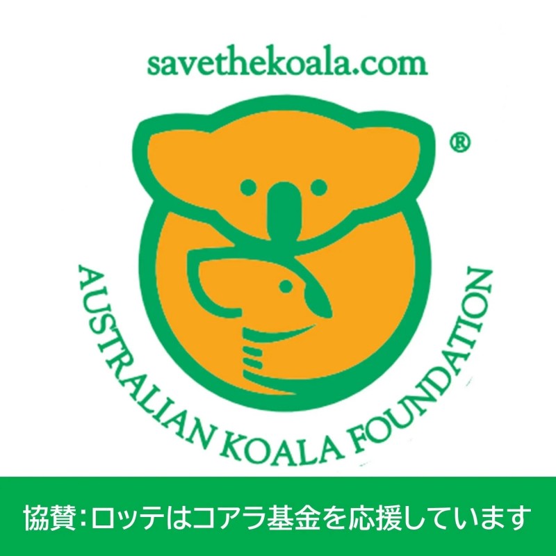 Lotte Koala's March Chocolate Snack 48g