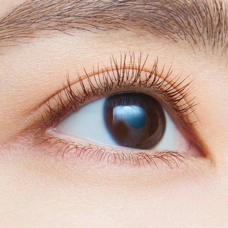 Dejavu Lash Knockout Extra Volume Mascara #E2 Mocha Brown