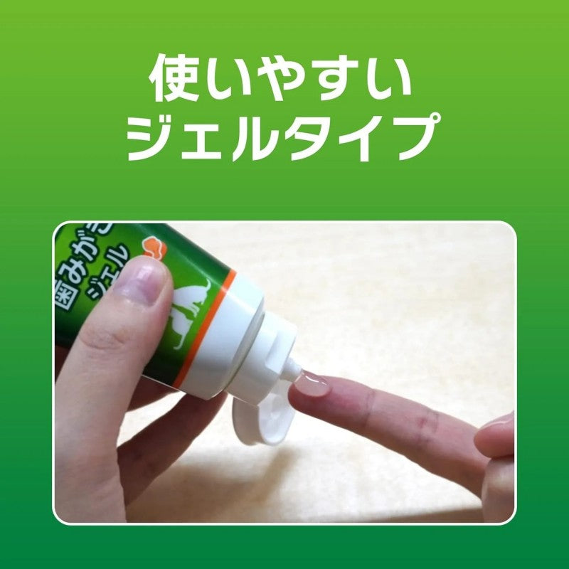 Lion Petkiss Pet Toothpaste Chicken Flavor 40g