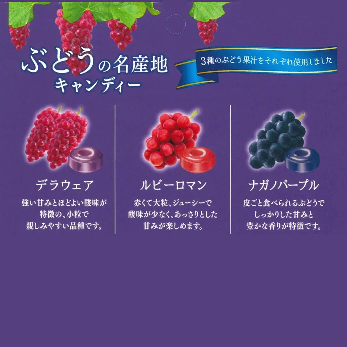 Lion Sweets Grape Specialty Candy 71g