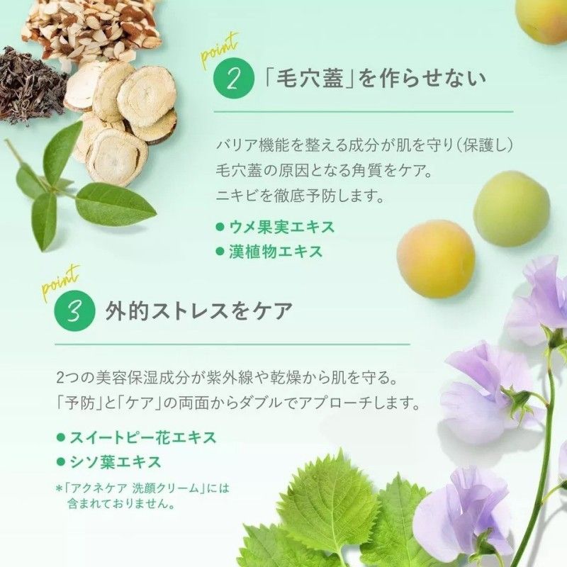 Fancl Acne Care Facial Cleansing Cream 90g