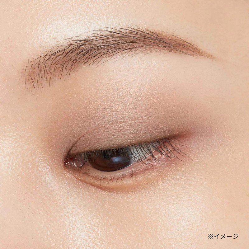 Ettusais Eye Edition Color Palette #06 Griege