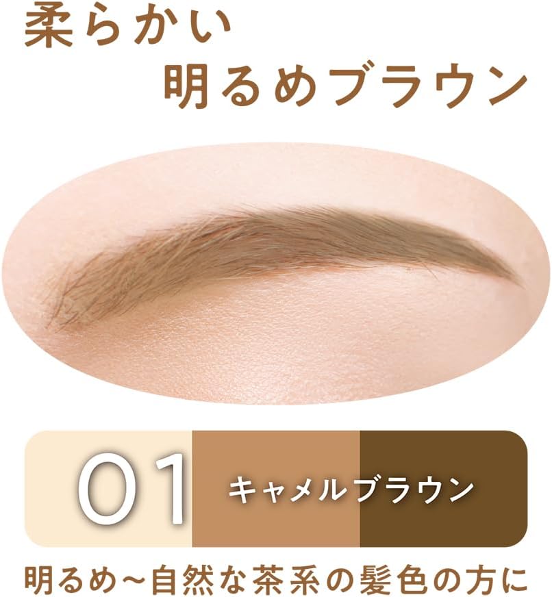 Cezanne Eyebrow & Shade Powder #01 Camel Brown