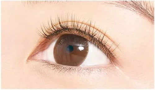 DUP Airy Curl Lash Black #06 Long 2 pairs