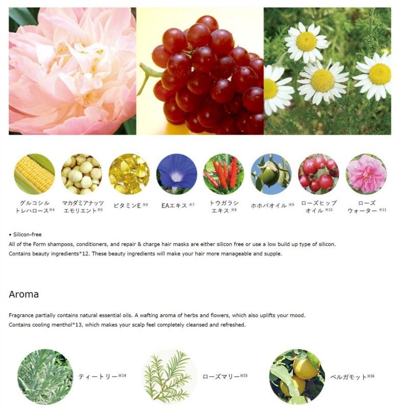 Pola Form Shampoo 550ml