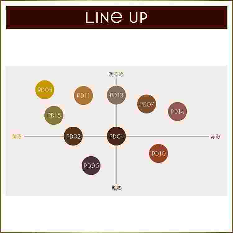 Excel 3-in-1 Powder & Pencil Eyebrow EX #PD05 Grayish Brown