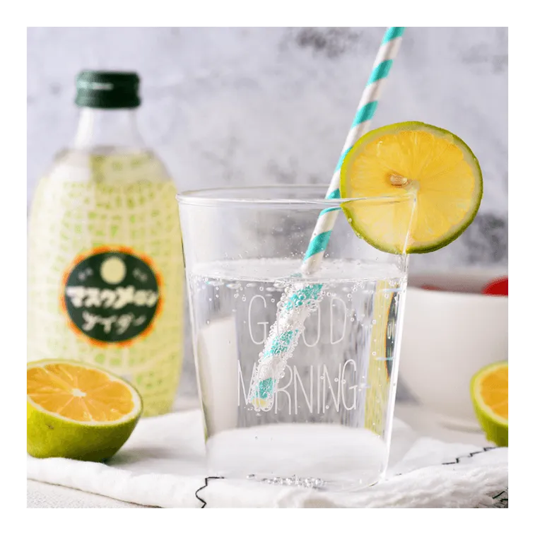 Tomomasu Carbonated Drink Muskmelon 300g