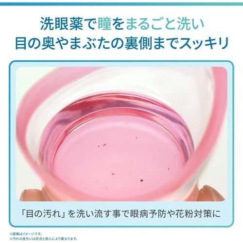 Kobayashi Seiyaku Premium Double Vitamin Care Eye Wash 500ml
