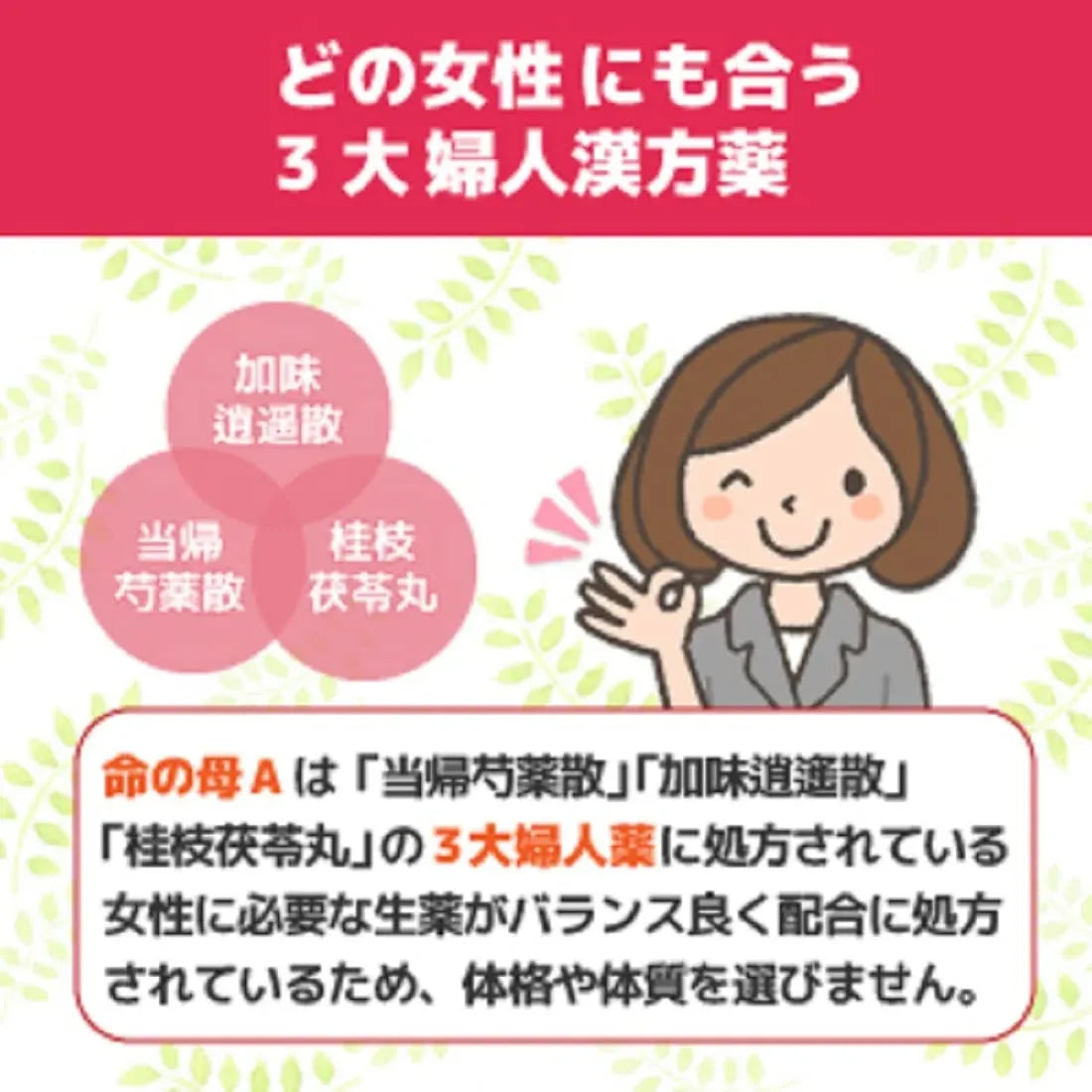 Kobayashi Inochi No Haha A Women's Health Medicine 840 Tablets