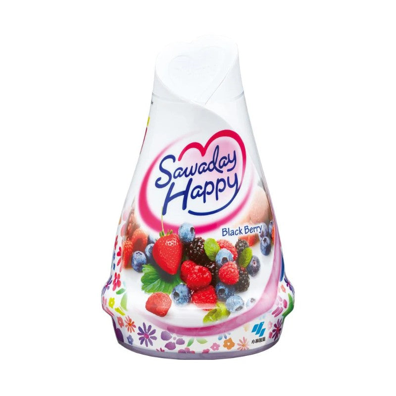 Kobayashi Sawaday Happy Indoor Aroma Deodorant Blackberry 120g