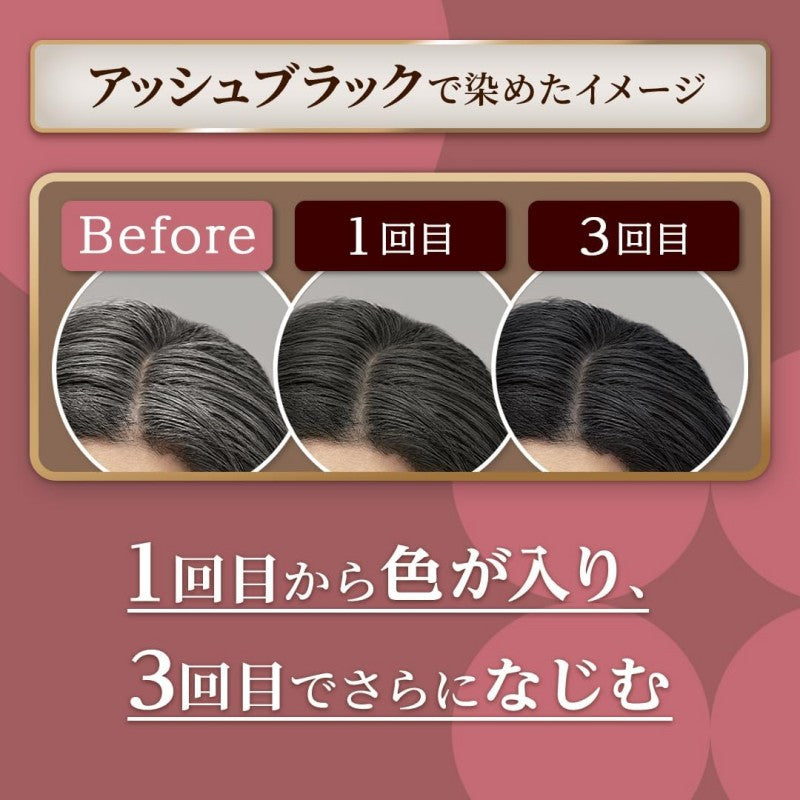 Hoyu Cielo Color Hair Dye Treatment Ash Black 230g